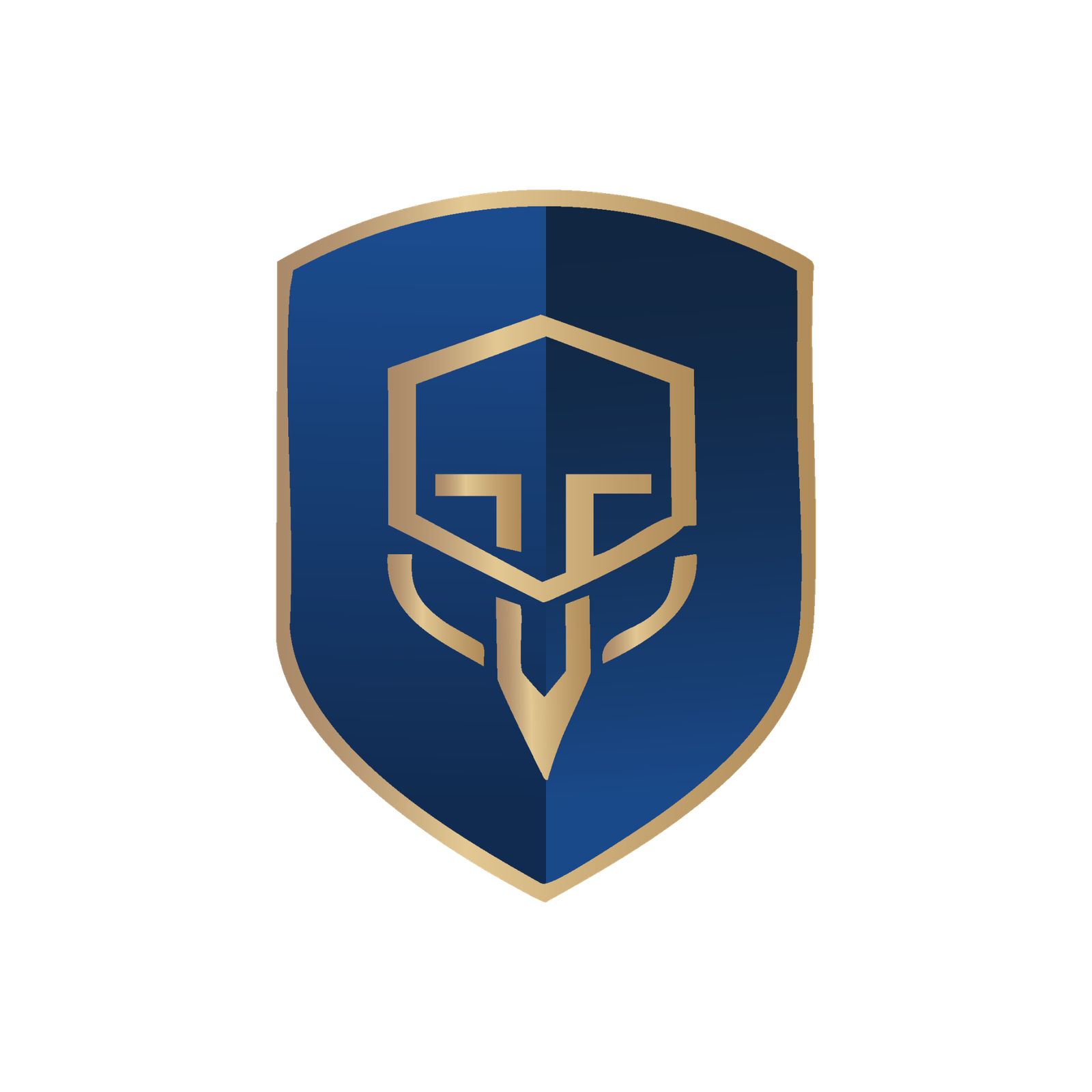 Logo Maxxima